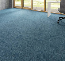 Balsan Take a Walk Rolls